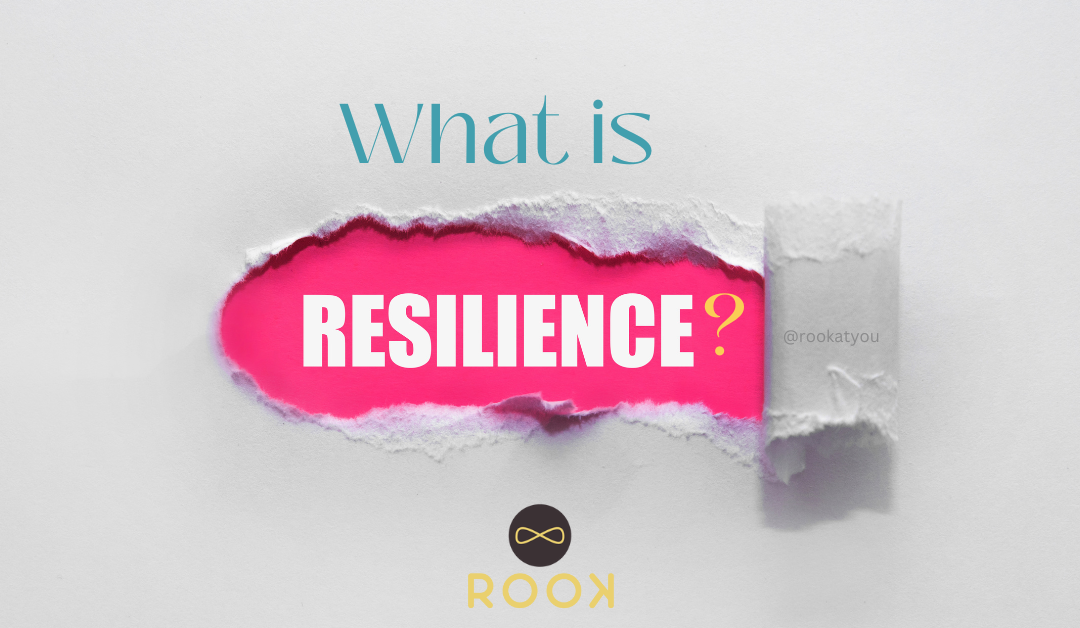 What is resilience?