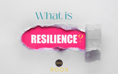 What is resilience?