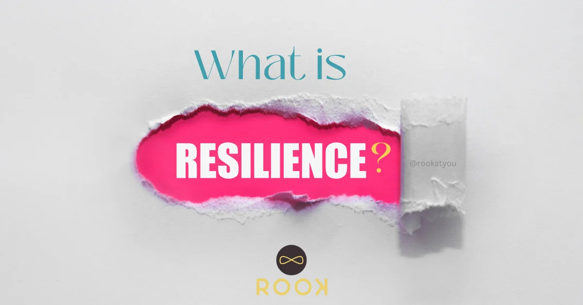 What is resilience?